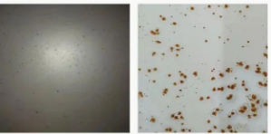 Ϳ���÷��W�P������Щ�N�����οƌWʹ���� Ϳ���ھ�,coatingol.com